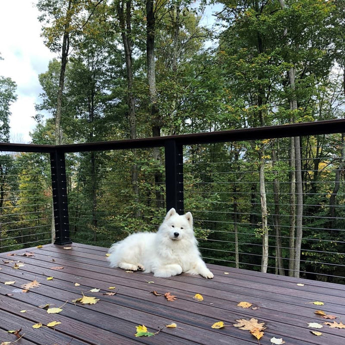 How to Select and Install Safe Balcony Railings for Dogs?