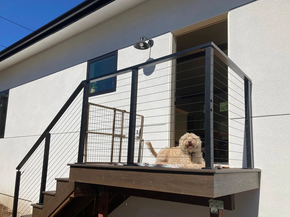 dog resting on a wooden deck with black metal deck railing